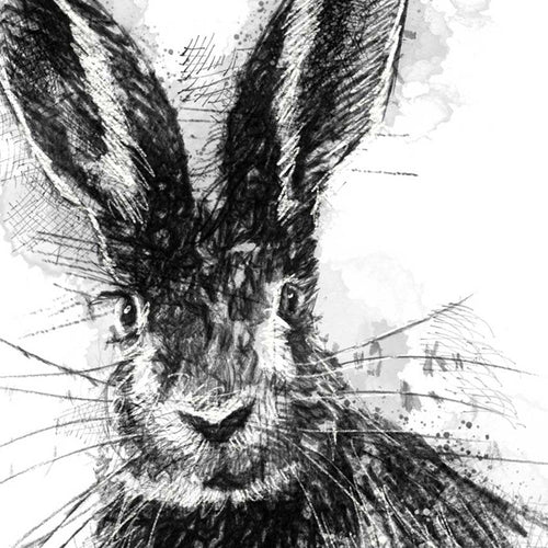 Brown hare