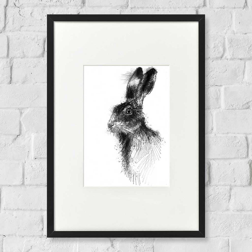 Brown hare