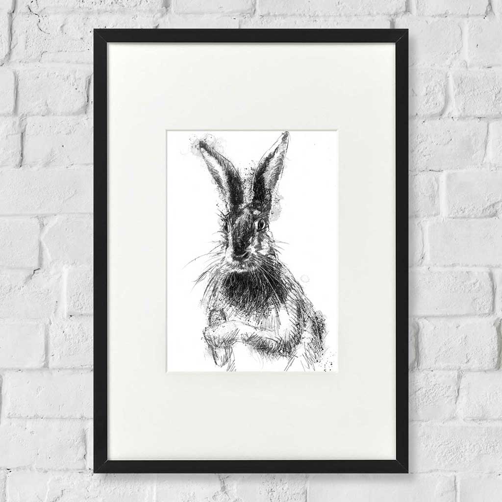 Brown hare