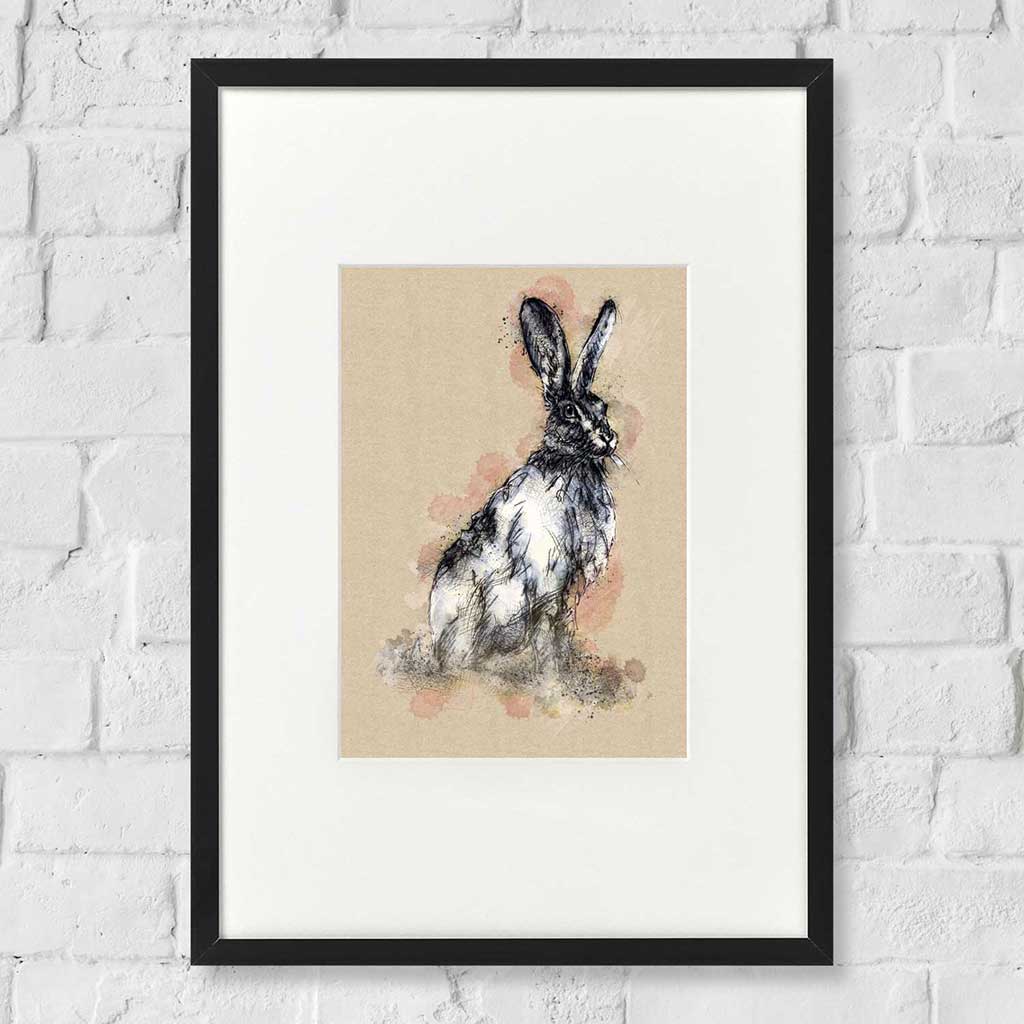 Brown hare