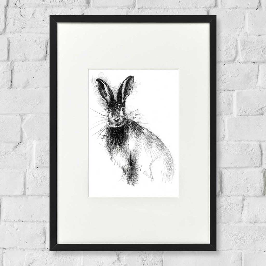 Brown hare