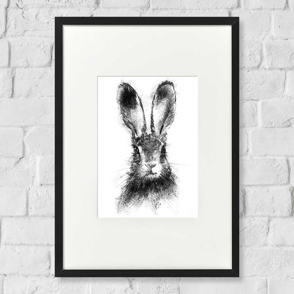 Brown hare