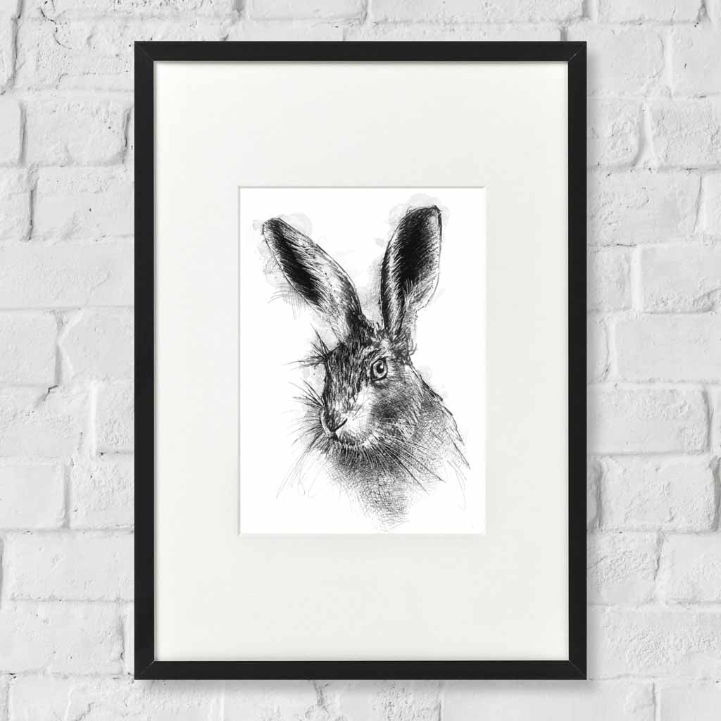 Brown hare