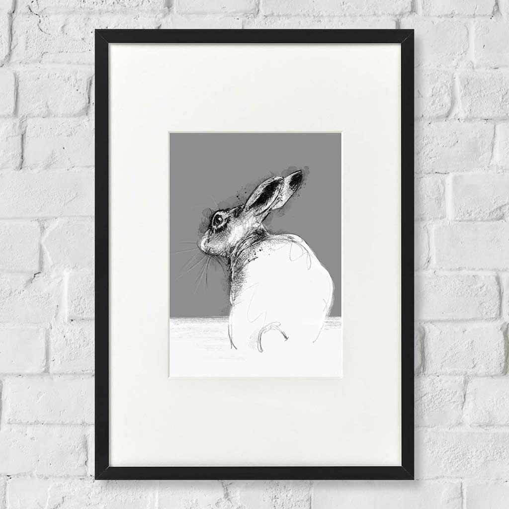 Hare resting