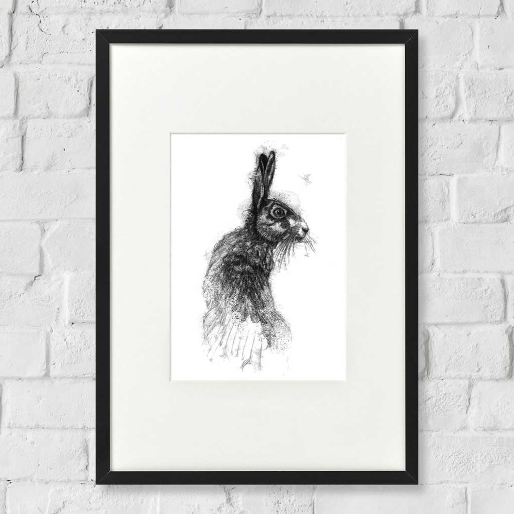 Brown hare