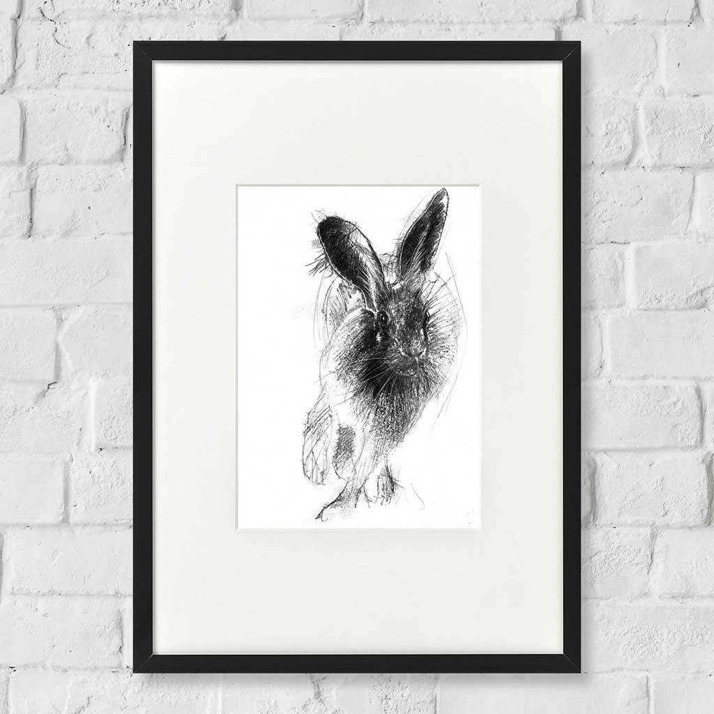 Brown hare