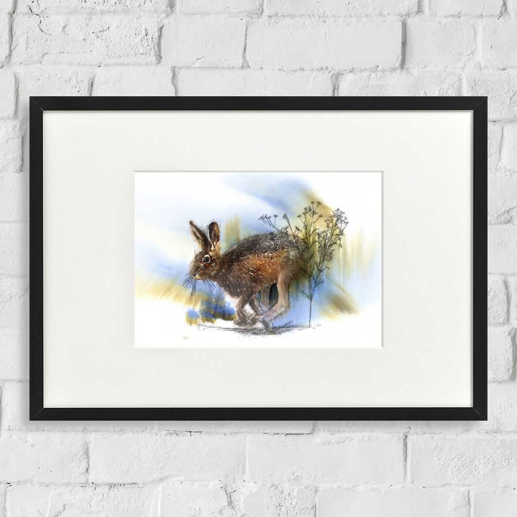 Brown hare colour