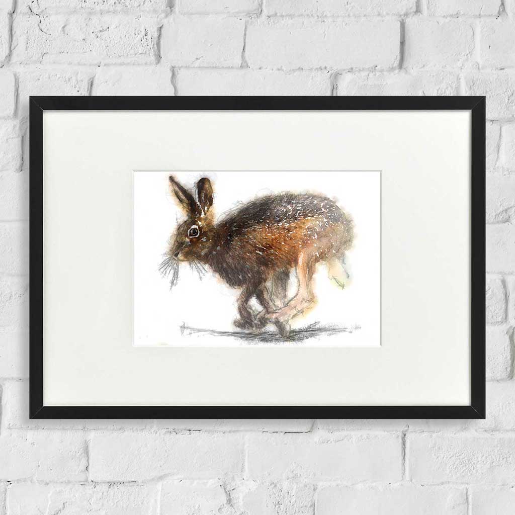 Brown hare colour