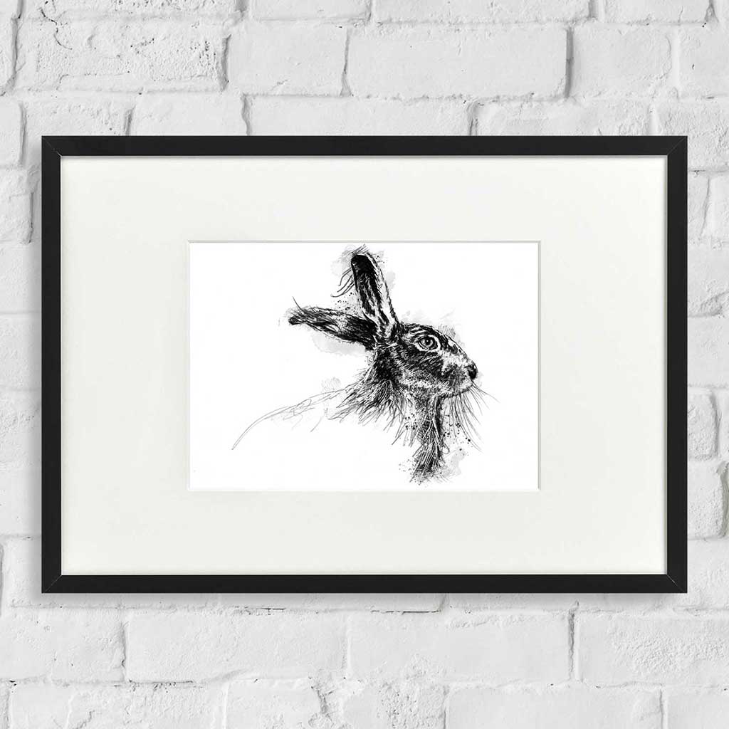 Brown hare
