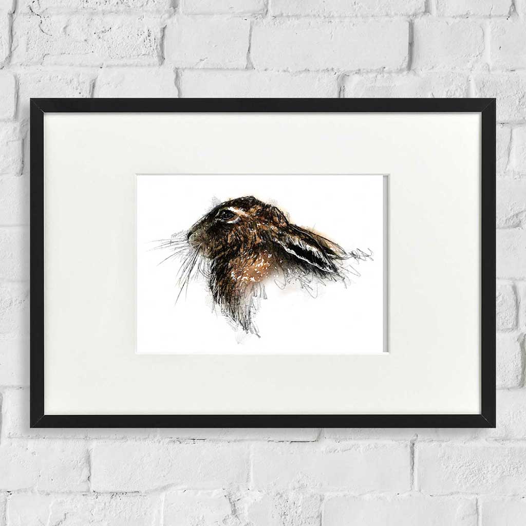 Brown hare settled