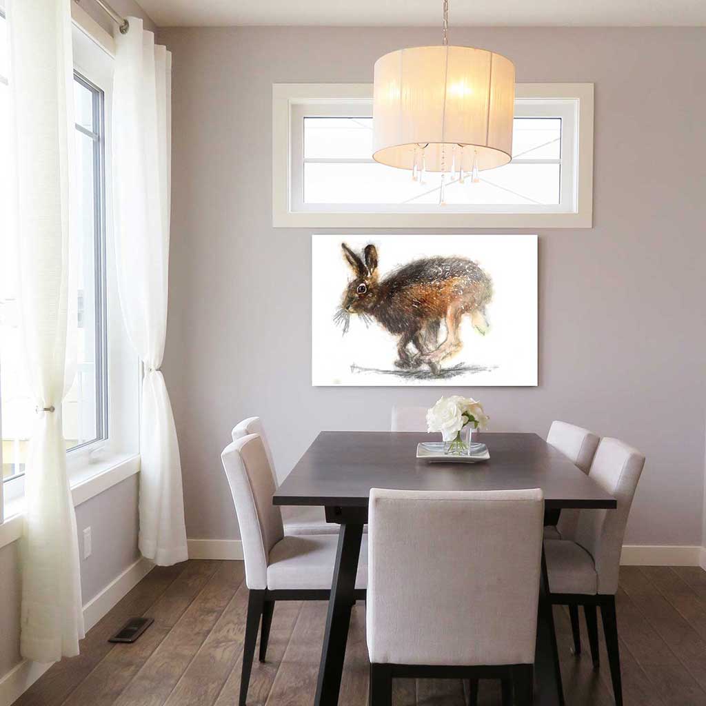 Brown hare colour