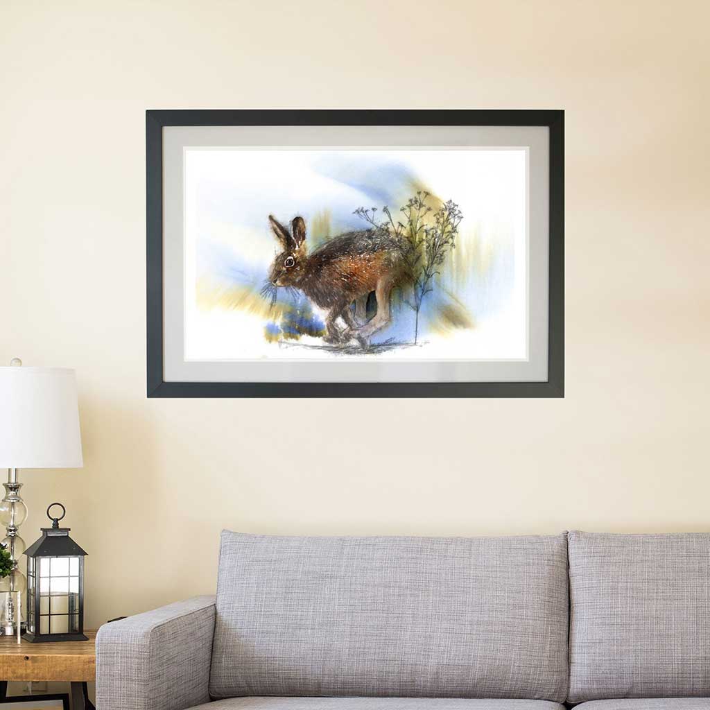 Brown hare colour