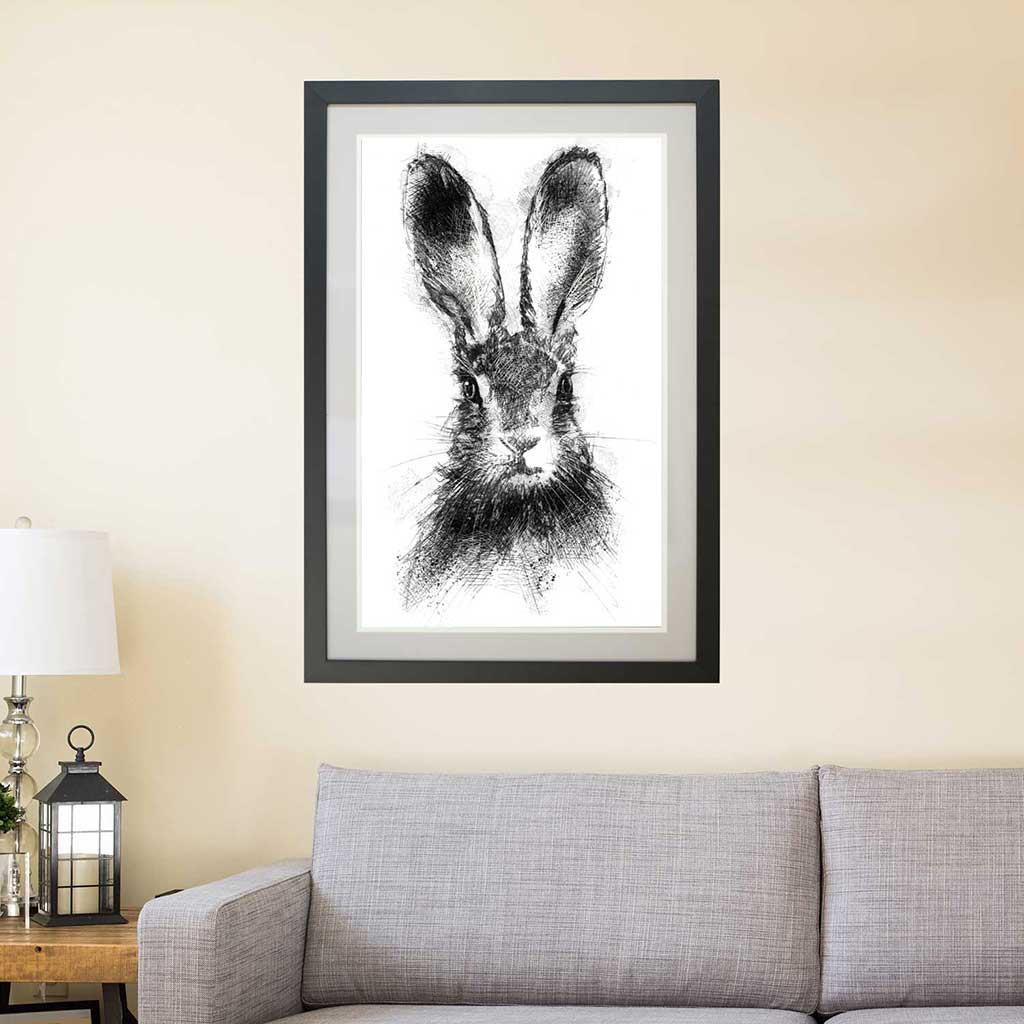 Brown hare