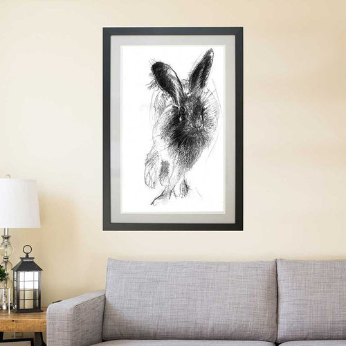 Brown hare