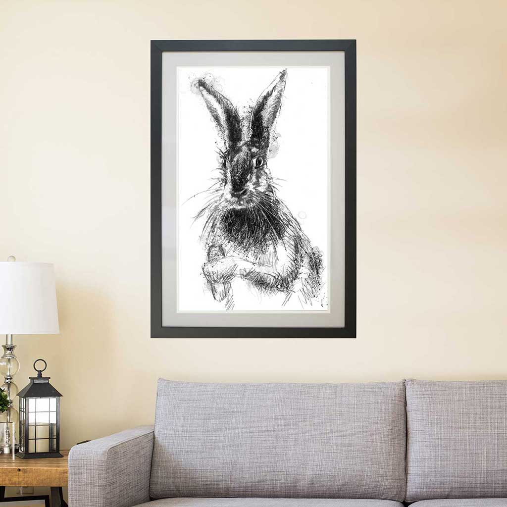 Brown hare