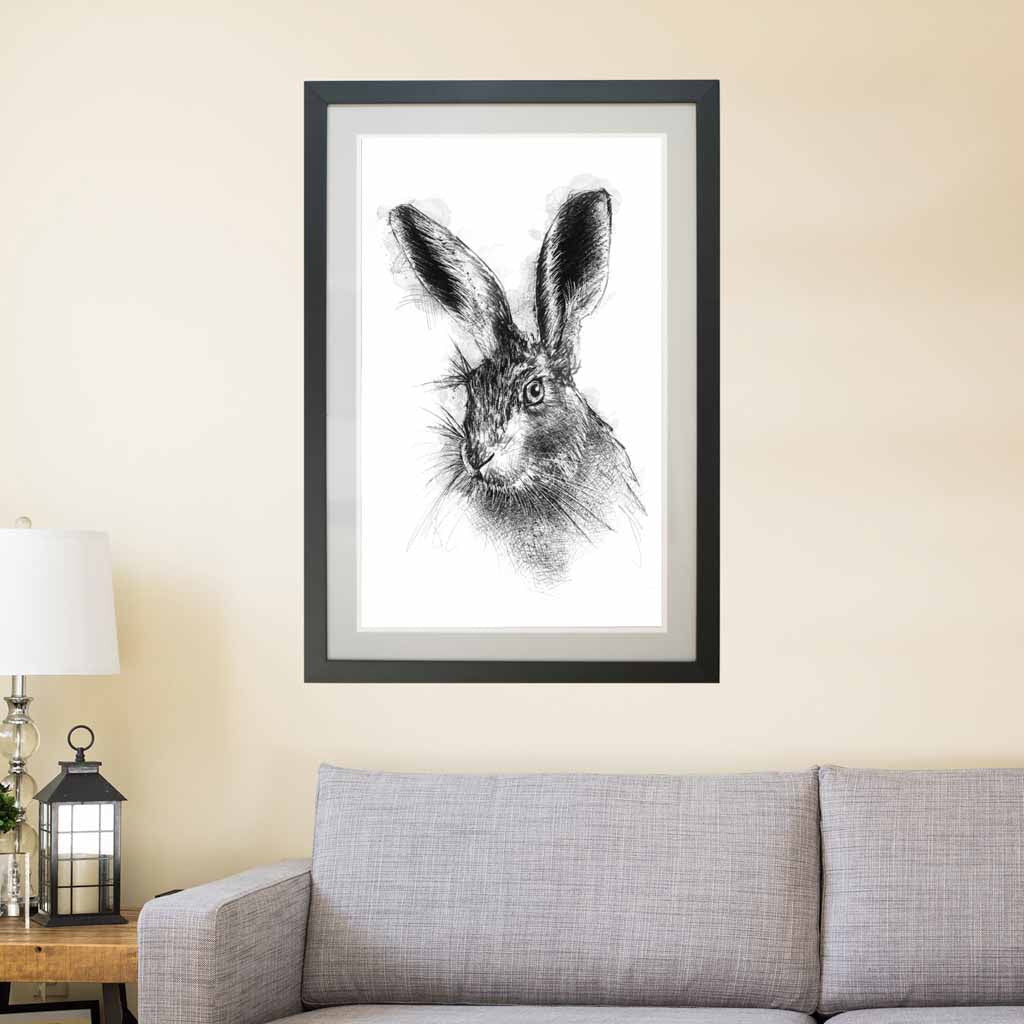 Brown hare