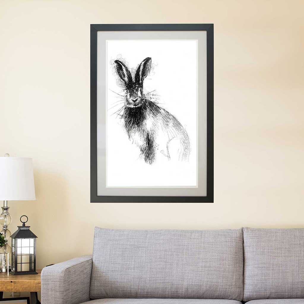 Brown hare