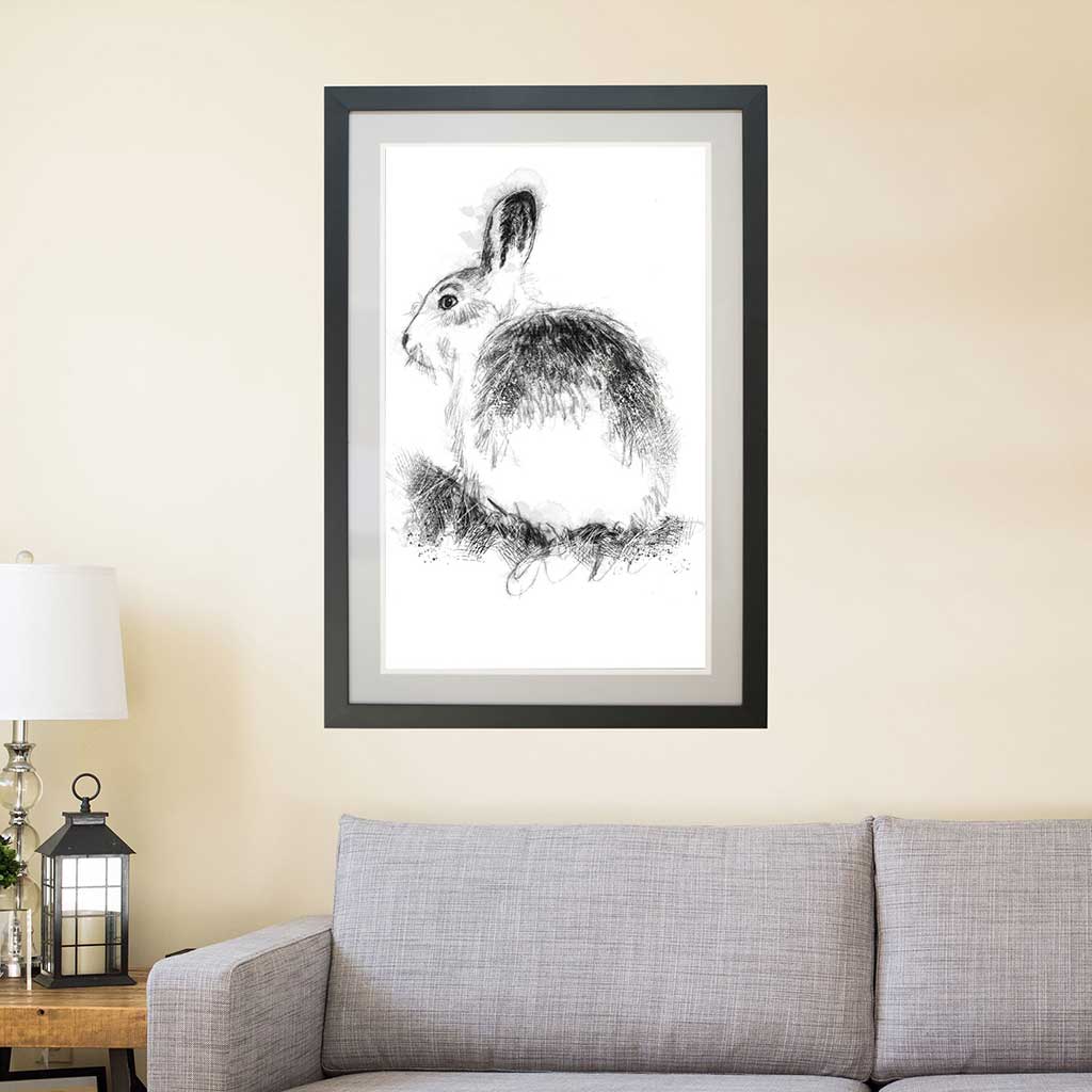 Mountain hare