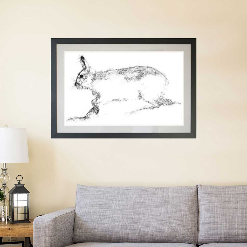 Mountain hare