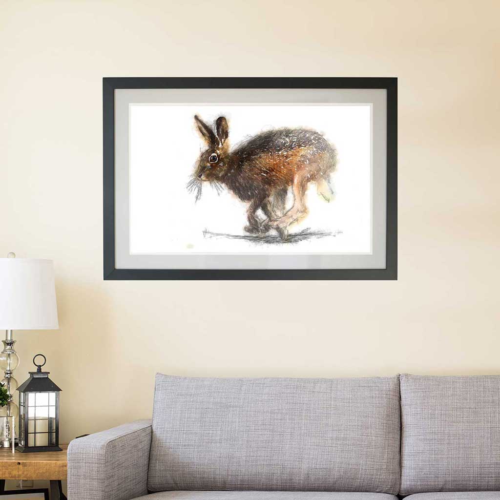 Brown hare colour