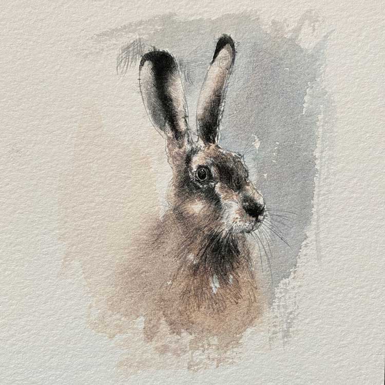 Hare mini sketch