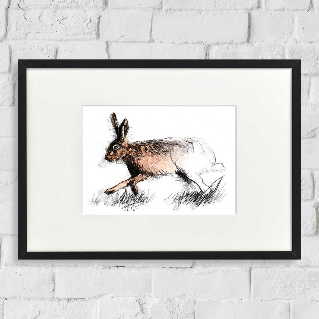 Hare running
