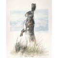 Hare alert sketch