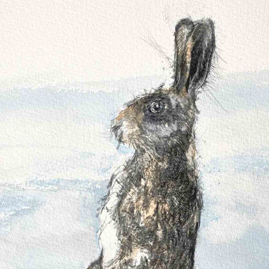 Hare alert sketch