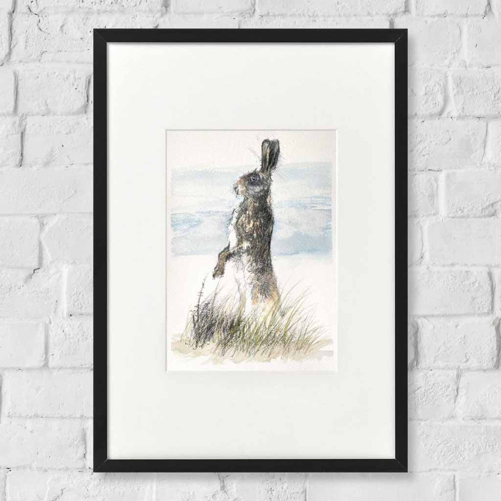 Hare alert sketch