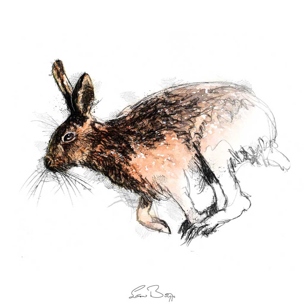 Hare run