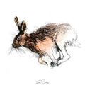 Hare run