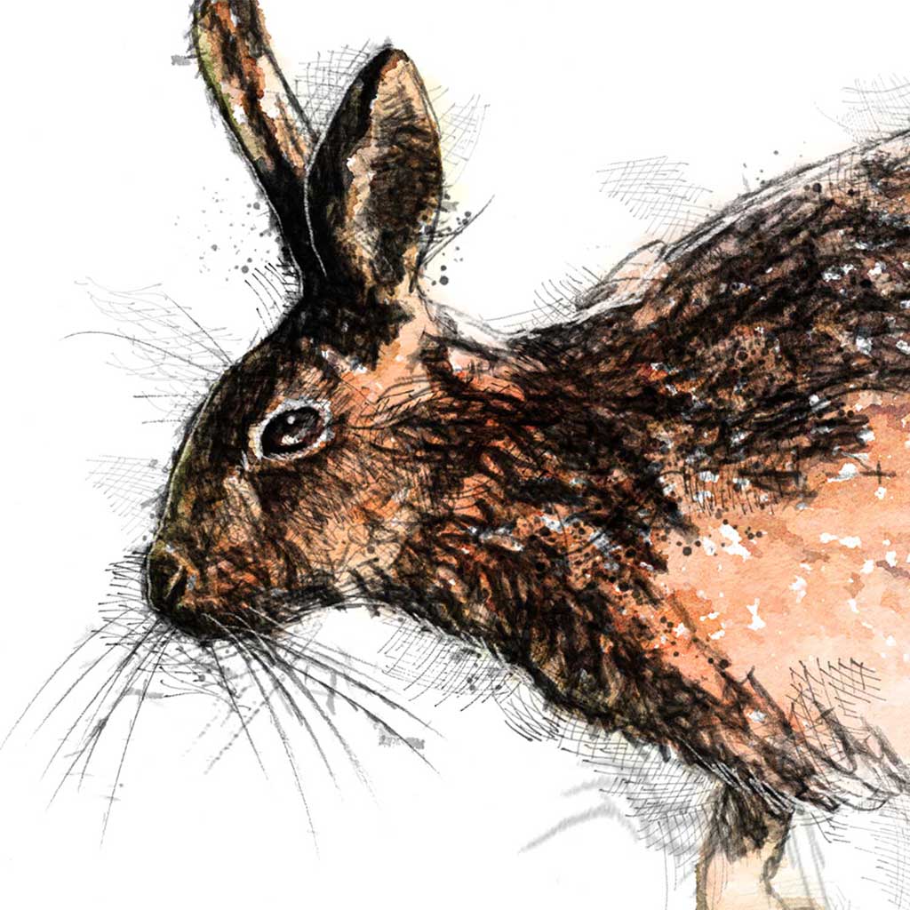 Hare run