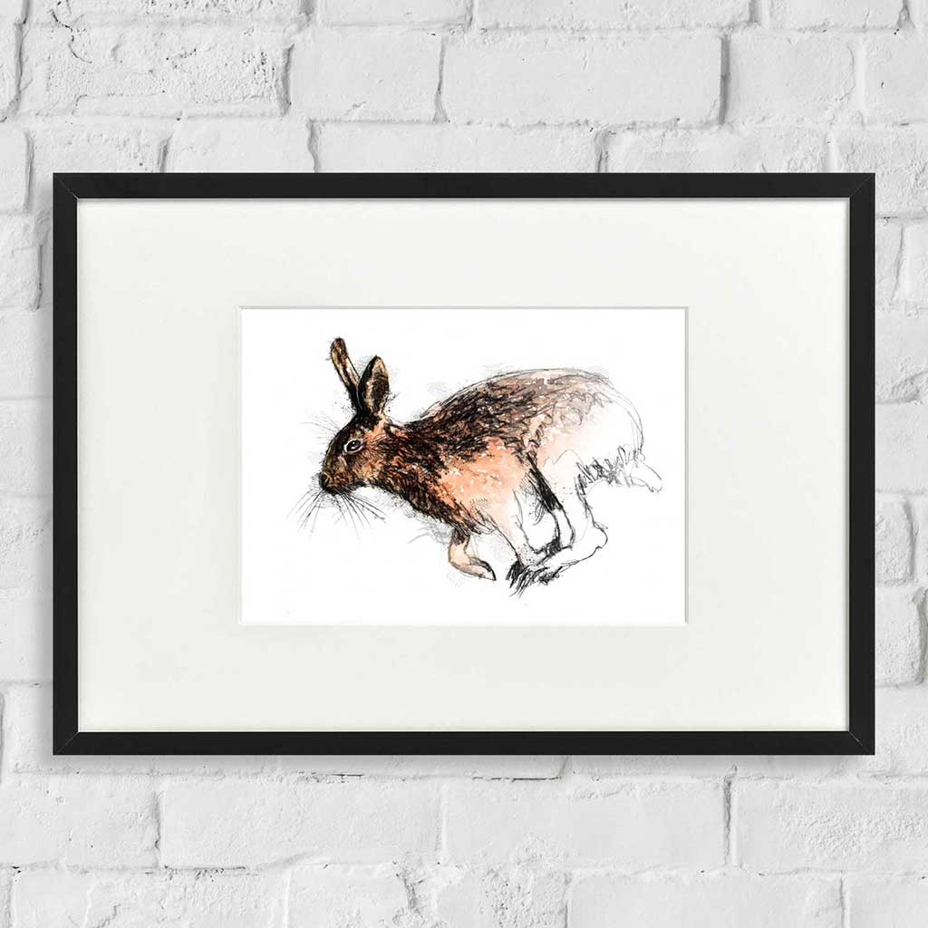 Hare run