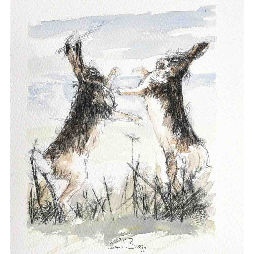 Hares boxing sketch