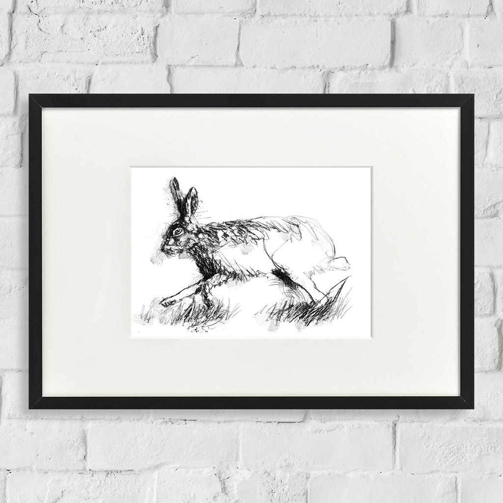 Brown hare run