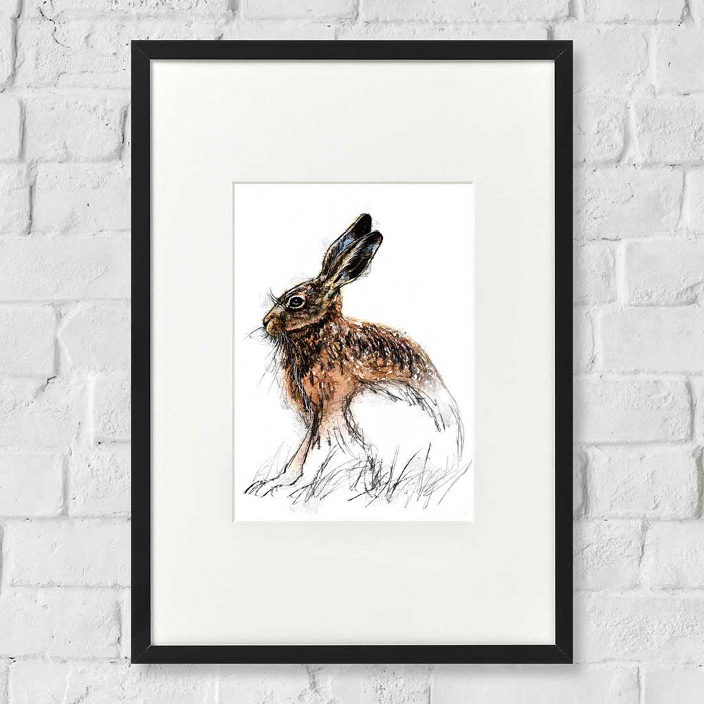 Brown hare sitting