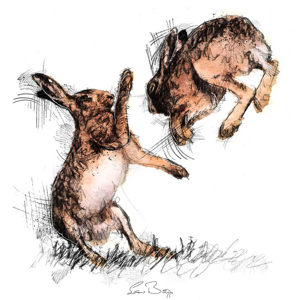 March madness hares