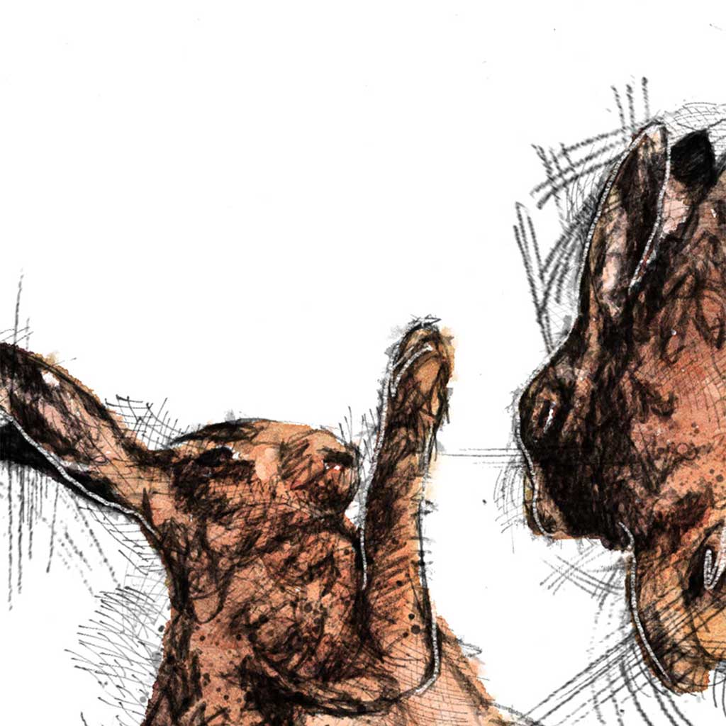 March madness hares