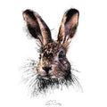 Hare alert colour