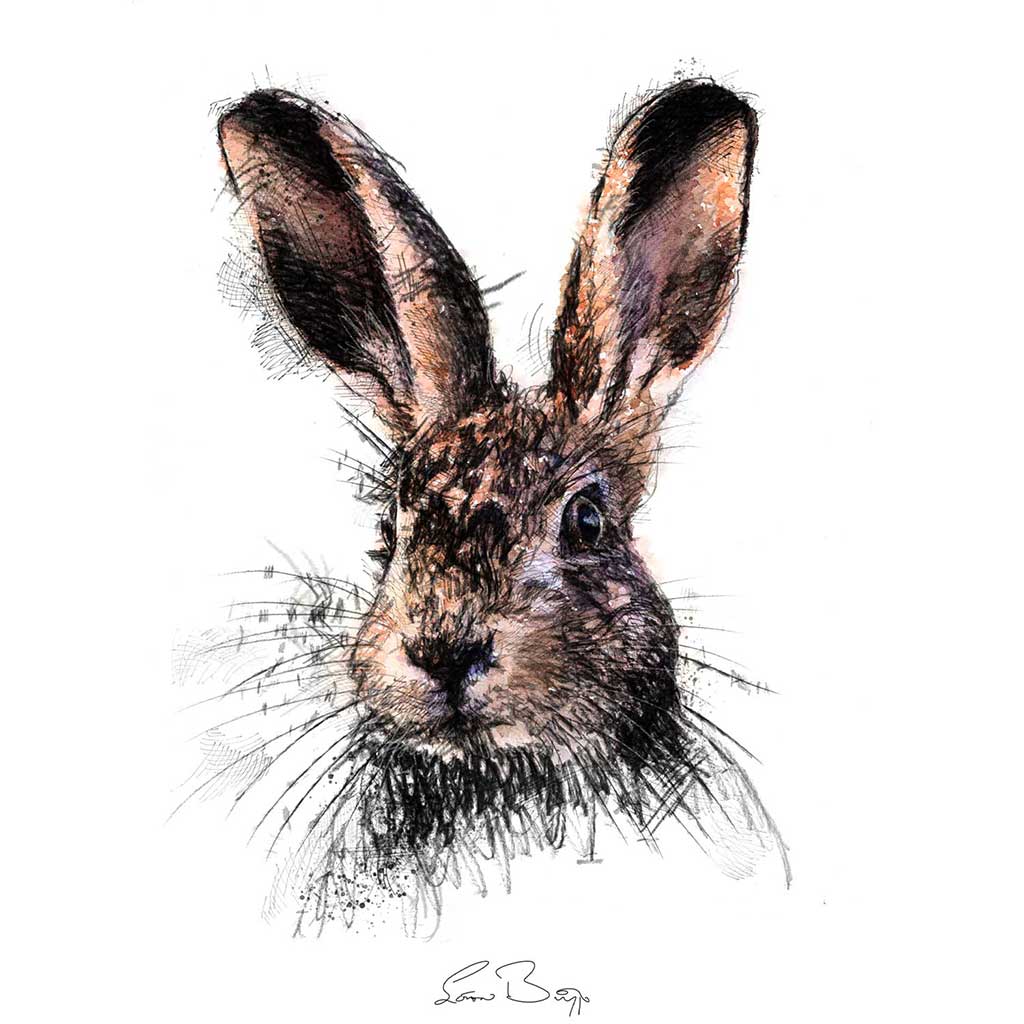 Hare alert colour