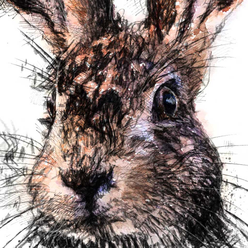 Hare alert colour