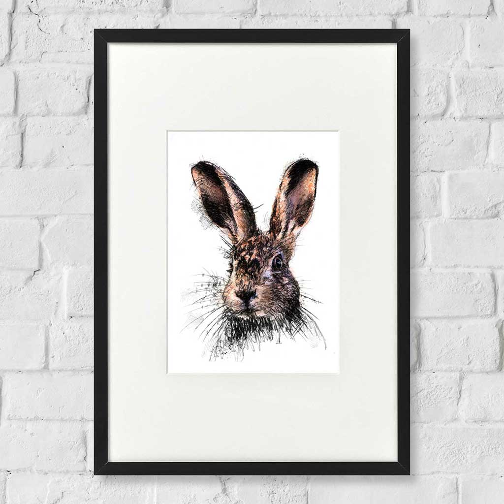 Hare alert colour