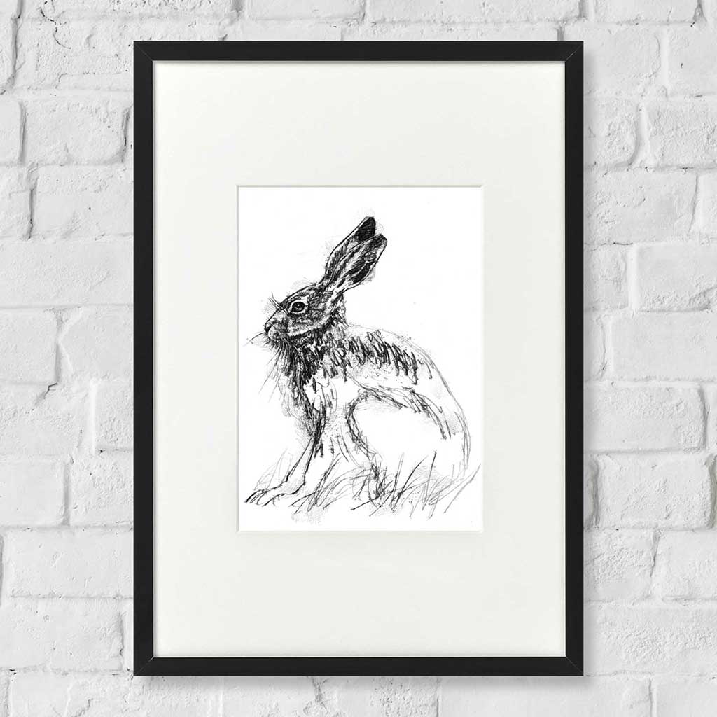 Brown hare sitting