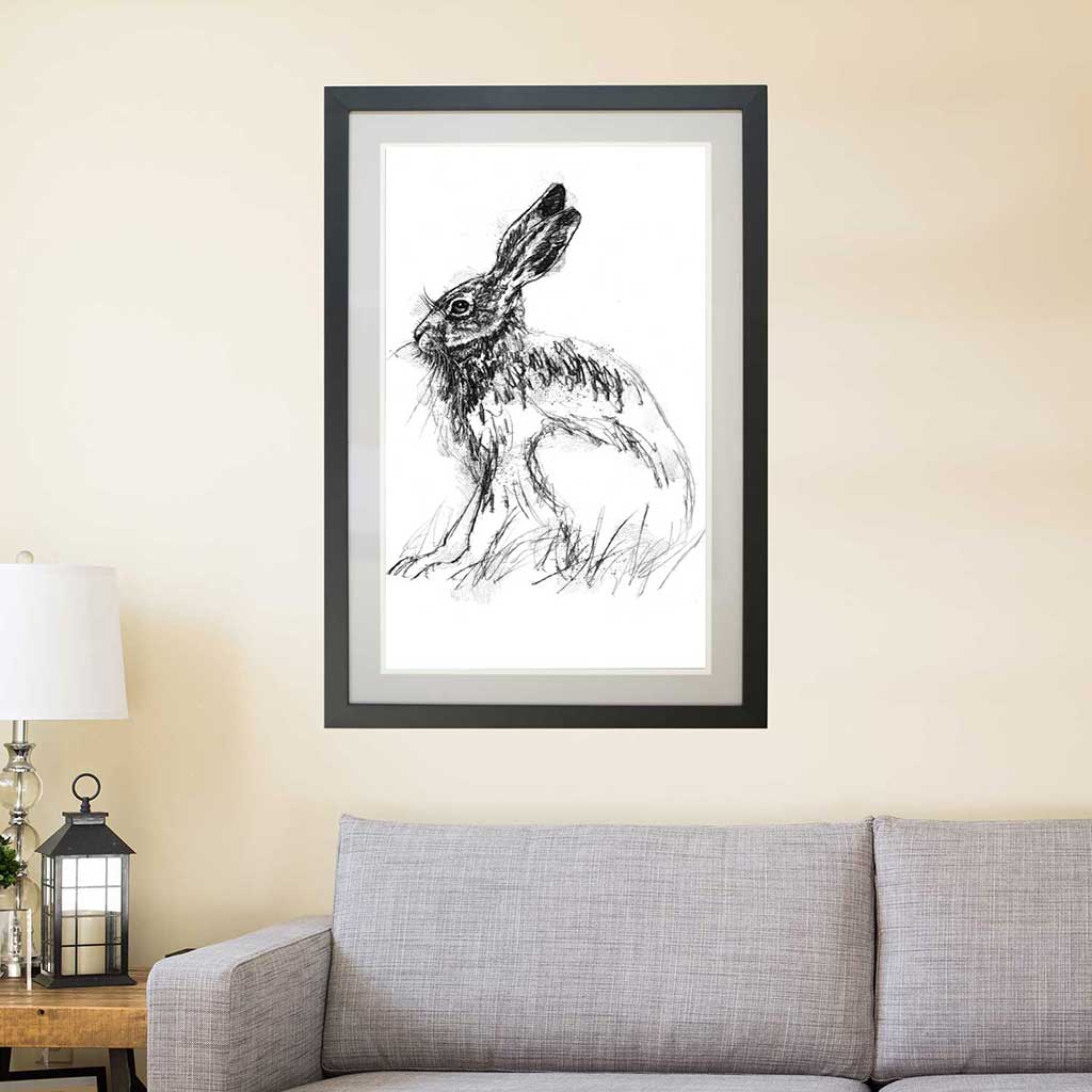 Brown hare sitting