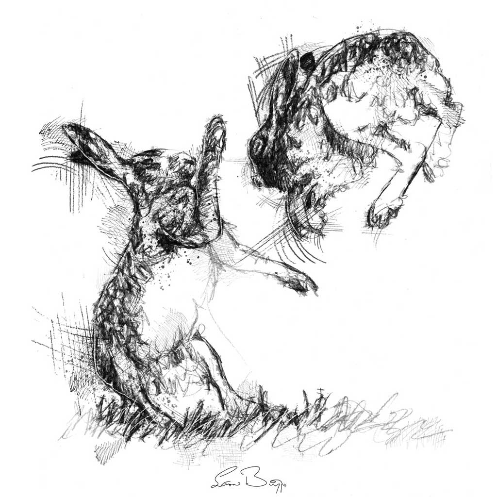 Hare March madness