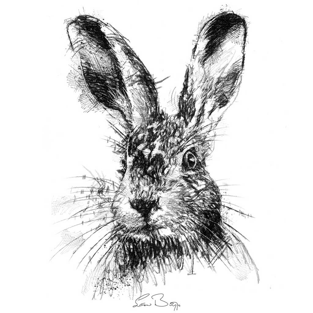 Brown hare alert