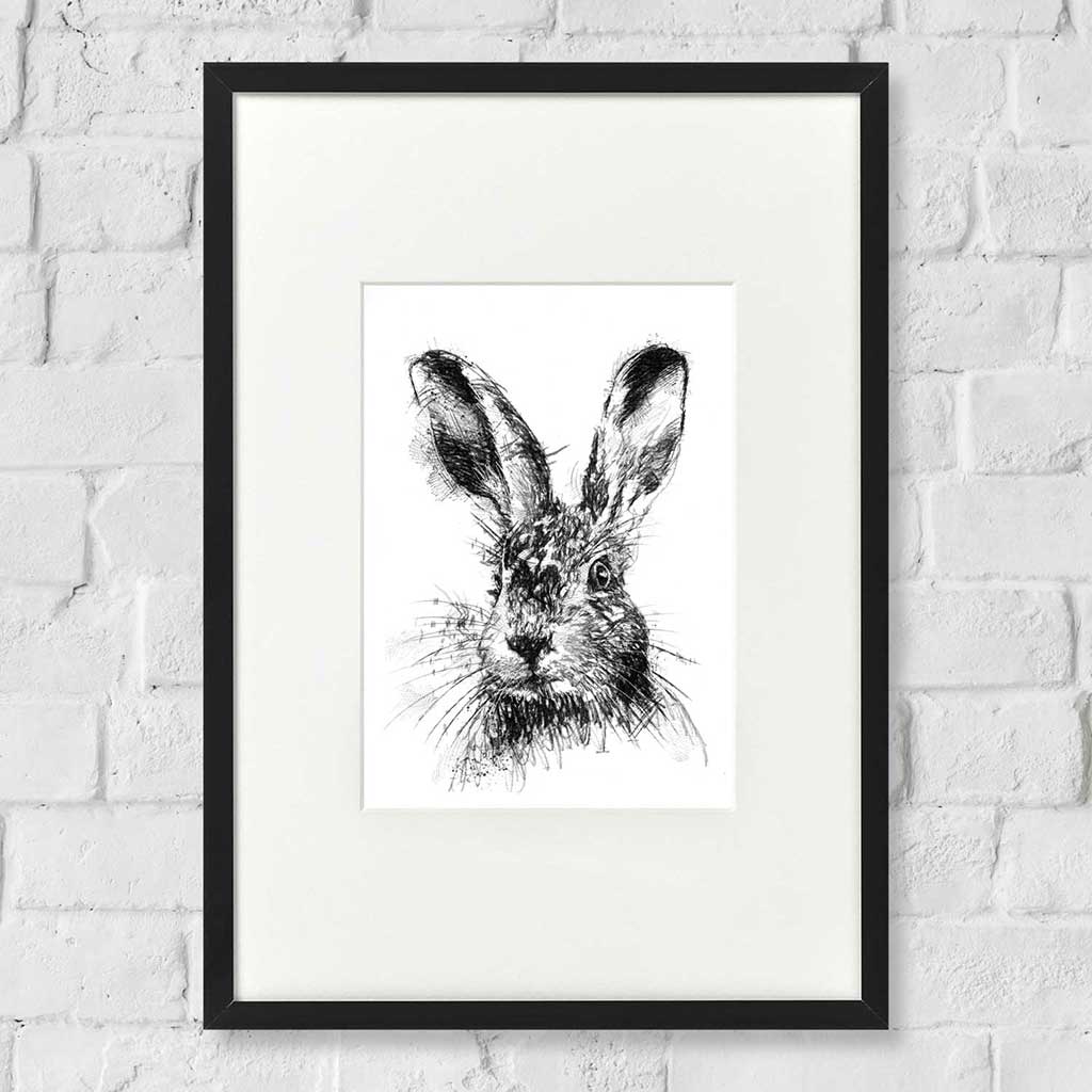 Brown hare alert