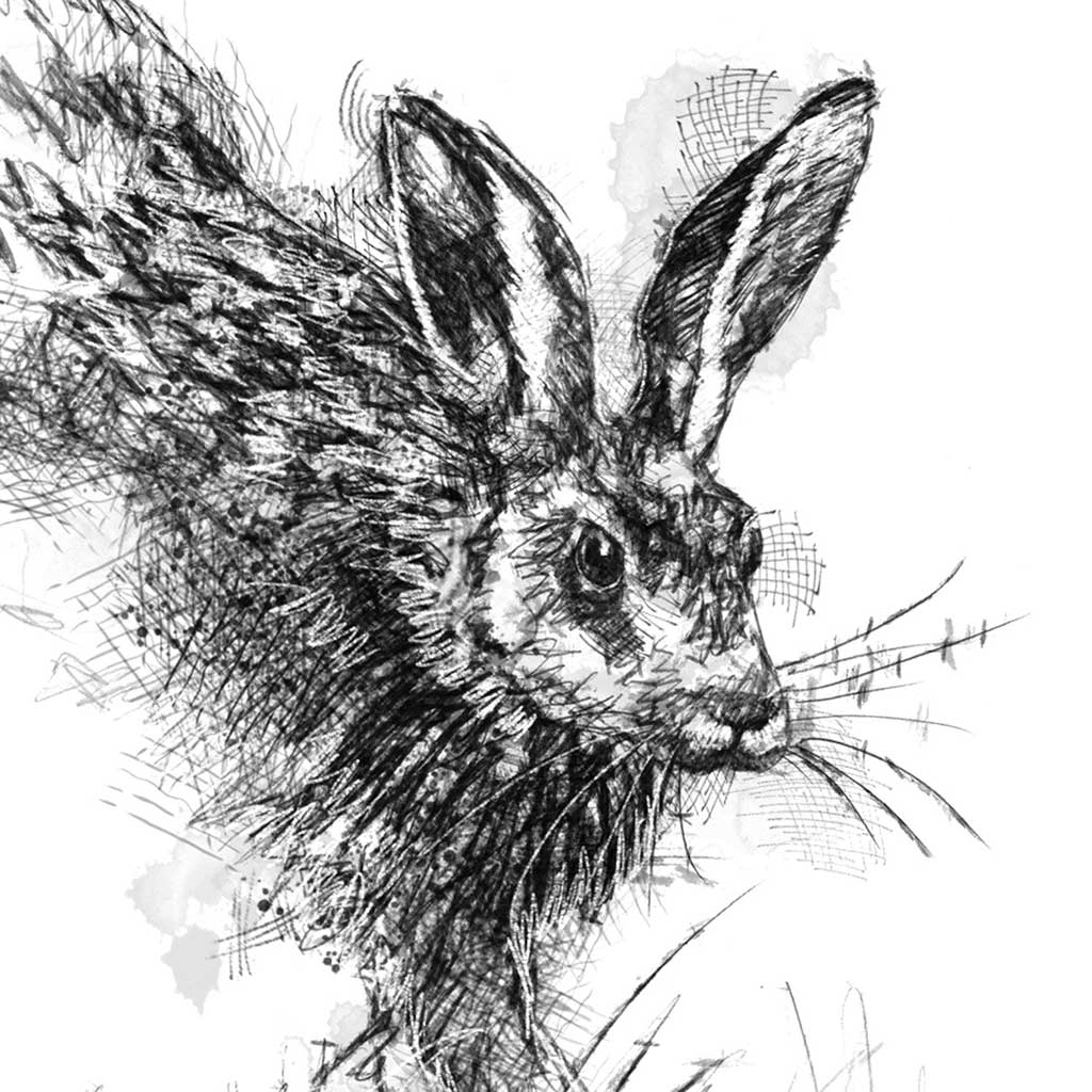 Running hare