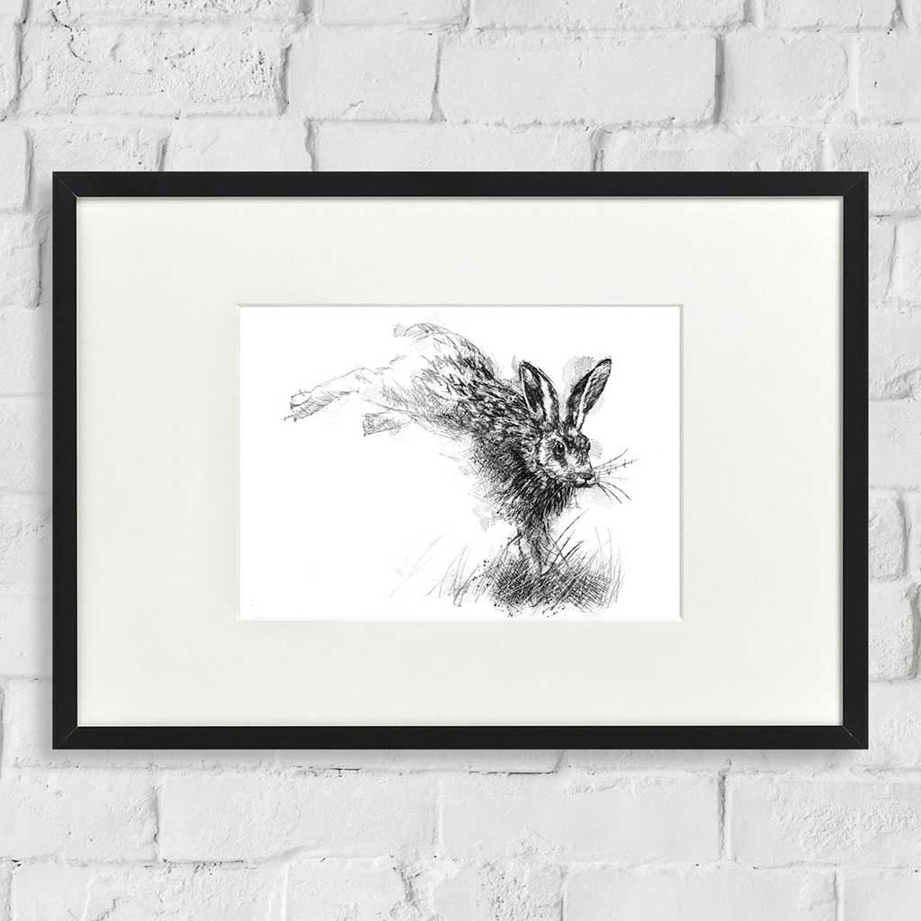 Running hare