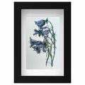 Harebell mini sketch